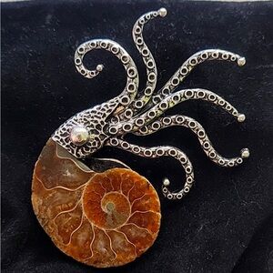 Ammonite brooch Kraken Squid Pin Fossil Ammonite Beachy Goth semi precious earth